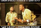 Jah Prayzah My Lilly Video