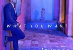 Jay Sean What You Want Video