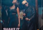 Download mp3 D'Banj Shake It ft Tiwa Savage mp3 download