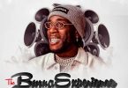DJ Teeyrych – The Burna Experience (Burna Boy Mixtape)