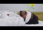 VIDEO: Fameye Ft. Kwesi Arthur – Long Life