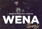 Shabzi Madallion ft Blaklez – Wena (Remix)