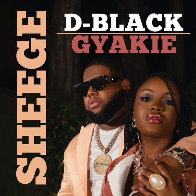 D-Black ft. Gyakie – Sheege