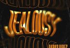 DarkoVibes – Jealousy ft. Boomski Radio