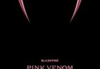 Cover art for Pink Venom by BLACKPINK