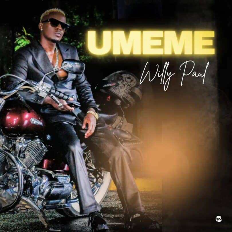 Willy Paul - Umeme